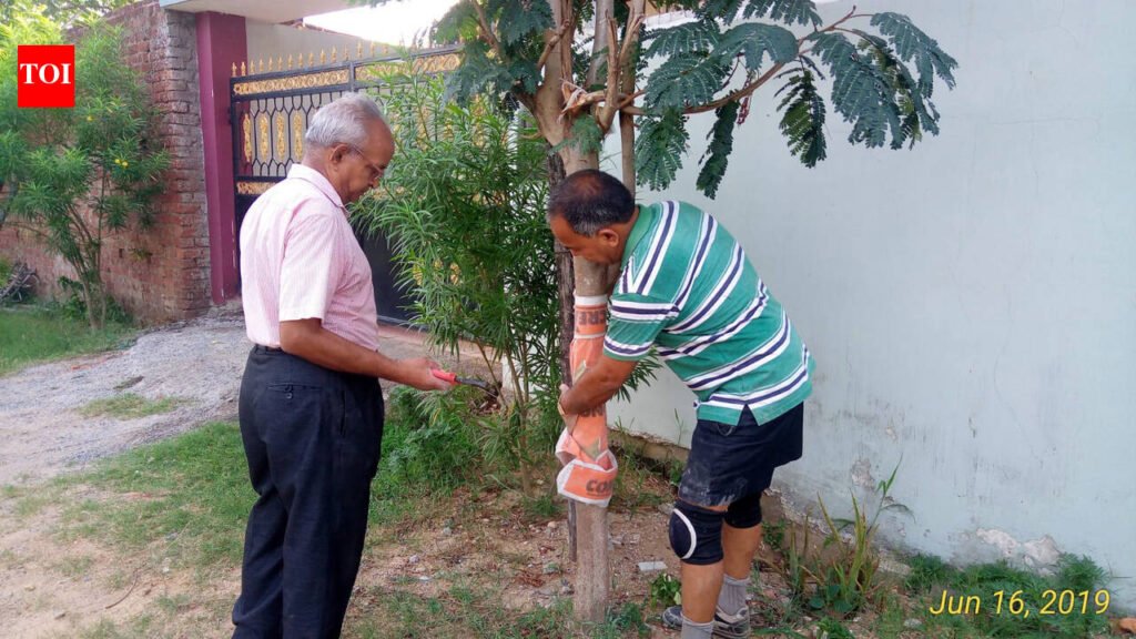 Tree-mendous mission: BAU prof gives Ranchi a green makeover | Ranchi News