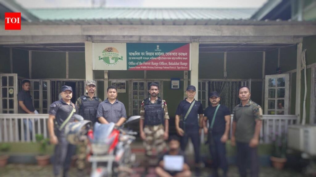 Man held in Kaziranga with smuggled Tokay Gecko | Guwahati News