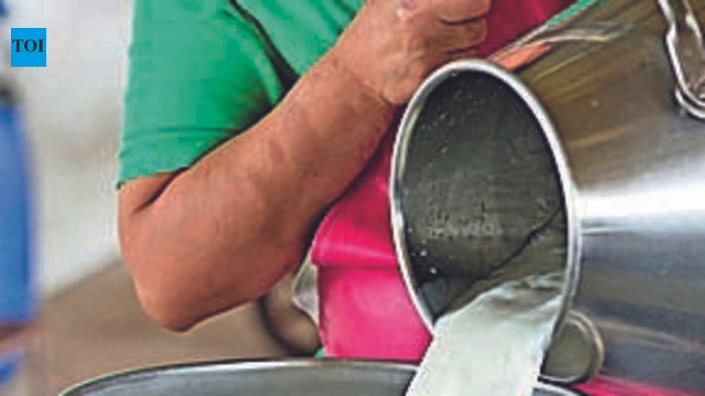 Man held for preparing adulterated milk | Rajkot News