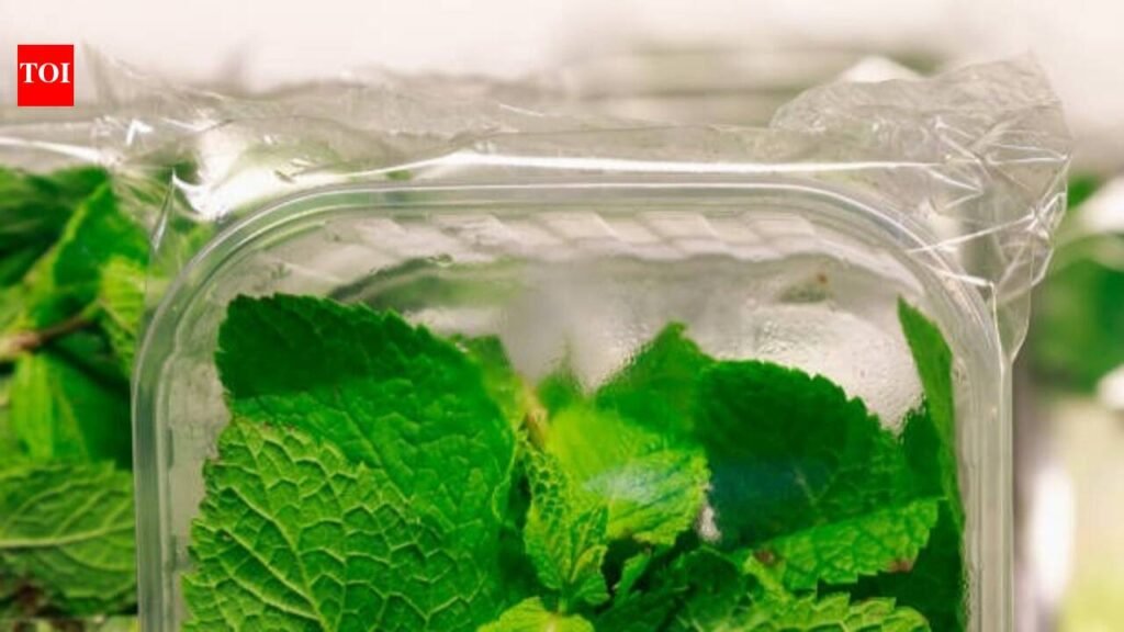 How To Store Mint Leaves: How to store mint leaves and keep them fresh for longer