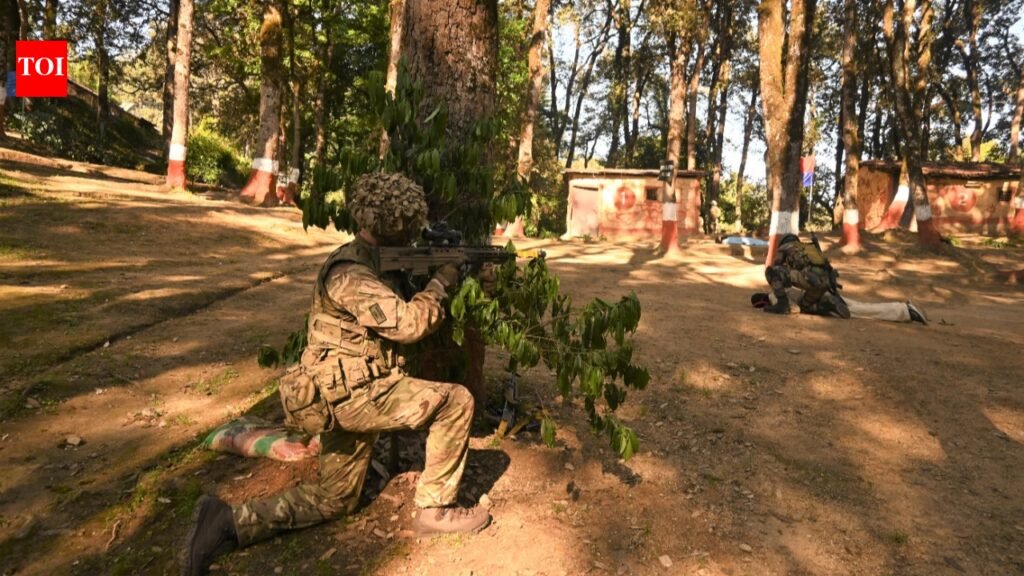 Joint R&D, military engagement & Indo-Pacific security: India, UK deepen defence partnership