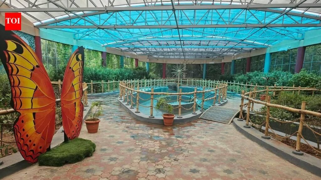 Renovated butterfly park reopens at Vandalur zoo, offering visitors a closer look at winged life | Chennai News