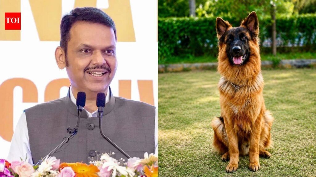 Maharashtra to retain retired police dogs with handlers, bear lifetime care costs | Mumbai News