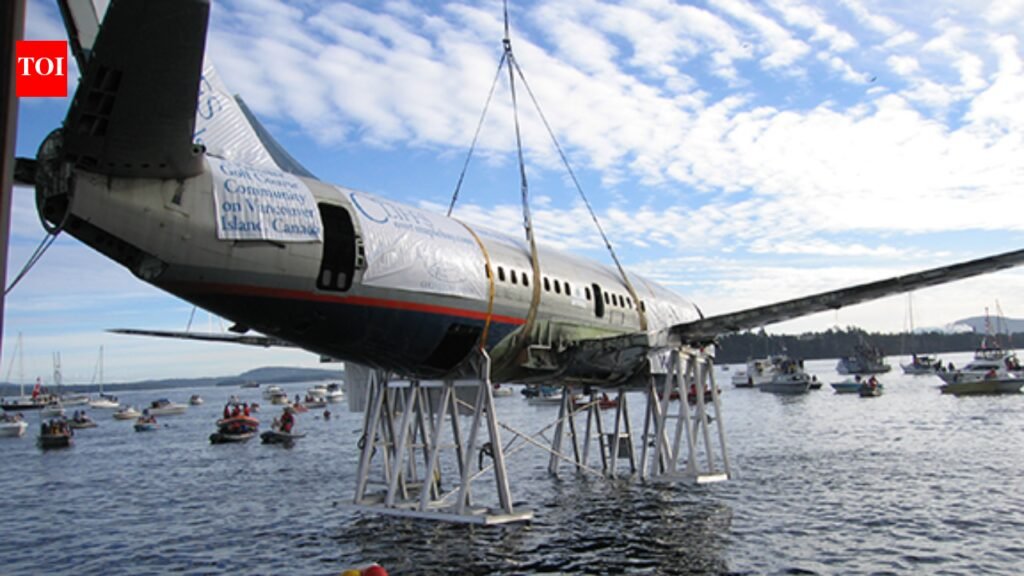 Canada lowered a retired Boeing 737 onto the seabed off Vancouver Island; the 100-foot jet now sits nearly 90 feet underwater as an artificial reef for marine life