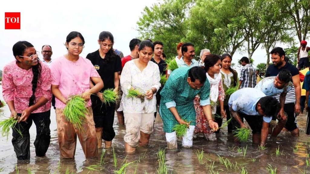 BAU scientists take paddy farming to fields | Patna News