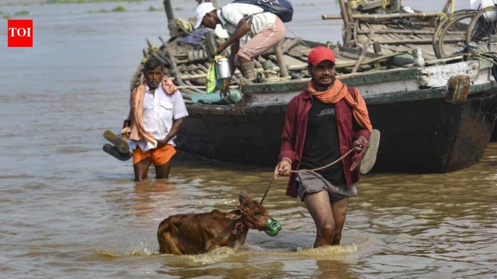 Flood alert issued in low-lying areas of state as rivers in spate | Patna News