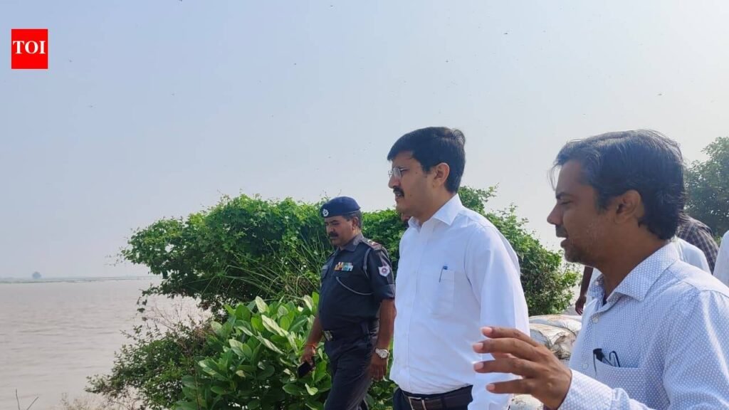 Bhojpur DM reviews flood preparedness | Patna News