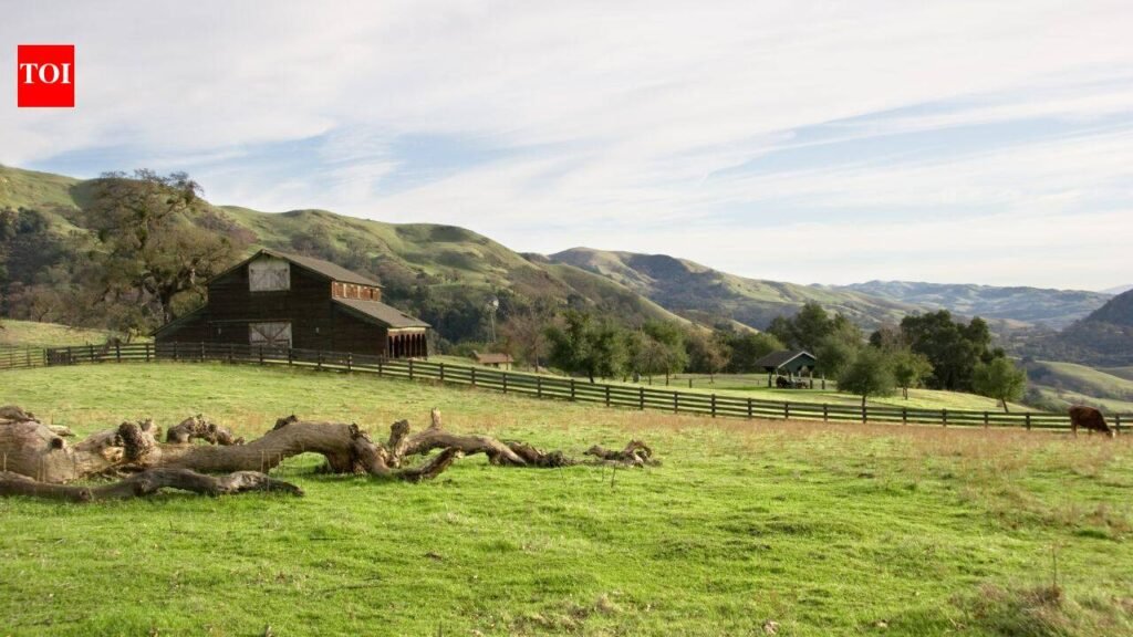 In 1974, the National Park Service bought the Stewart family’s 890-acre California ranch; they negotiated the right to remain and continued ranching there until 2021