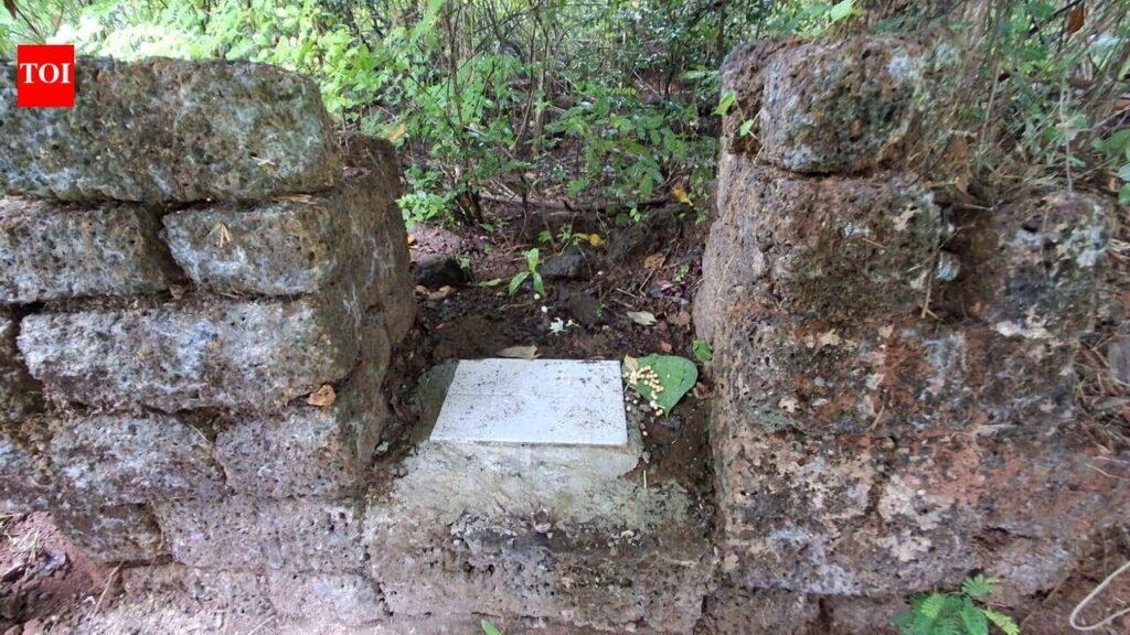 Sacred forest remnants in Virdi recall exodus of villagers and deities | Goa News