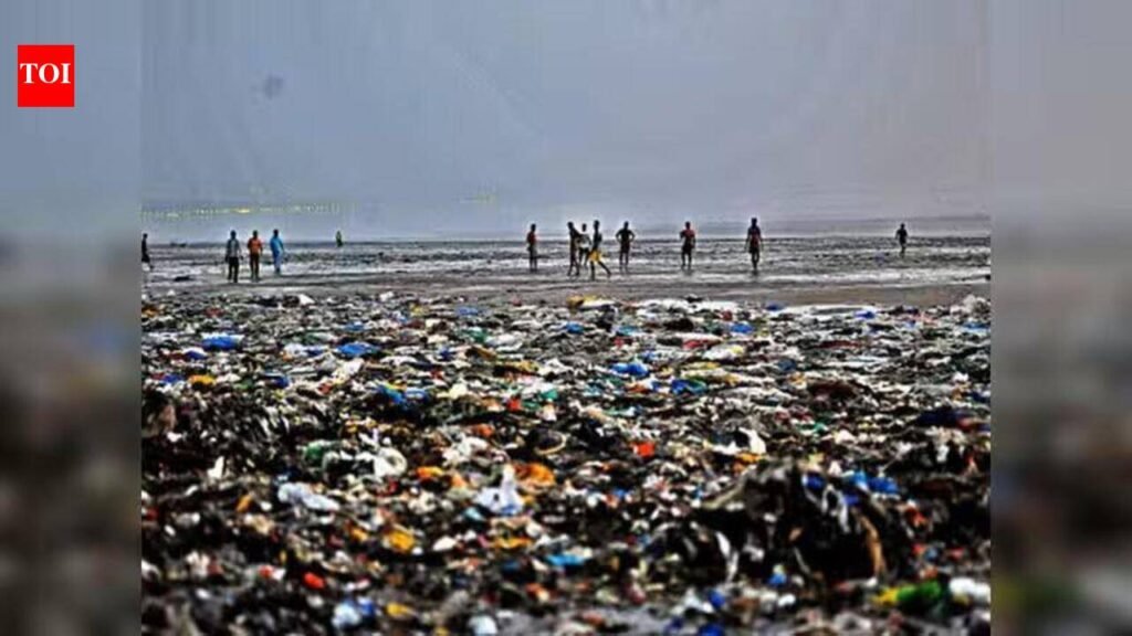 MPCB Asks BMC to Overhaul Beach Sanitation, Tighten Festive Ban on Single-Use Plastics | Mumbai News