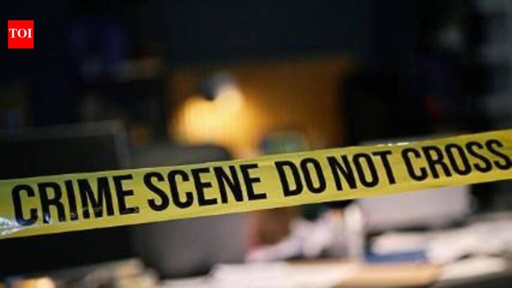 Man booked for attempt to murder after bar assault | Goa News