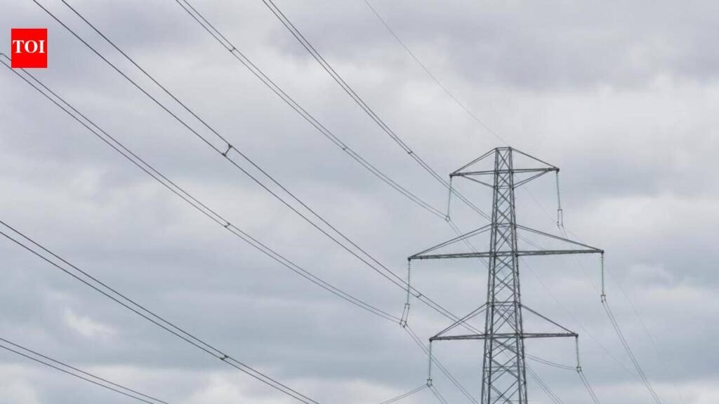 TN focuses on hydro upgrades, battery storage to meet peak power demand | Chennai News