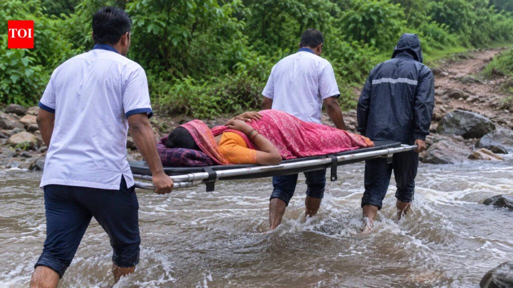 No road, 7km on a stretcher: Pregnant woman carried through rivers to reach ambulance in Odisha | Bhubaneswar News
