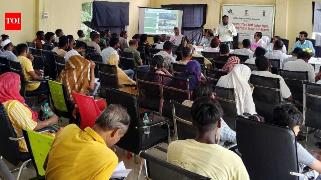 South Salmara-Mankachar farmers, agri-entrepreneurs learn of scheme benfits | Guwahati News