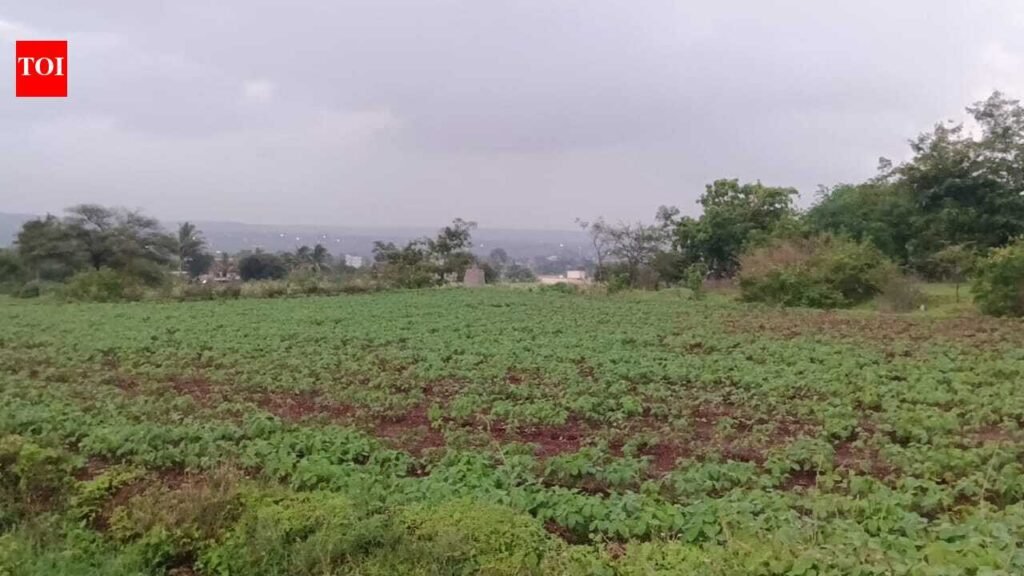 45 lakh hectares of soybean, but just six seed-testing labs in Maharashtra | Pune News