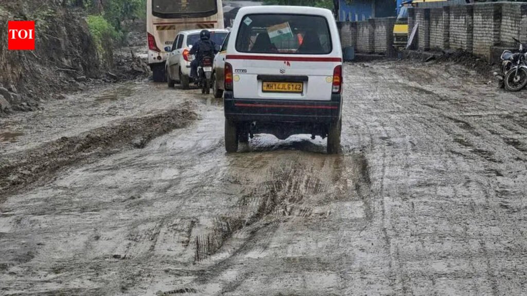 Poor roads, endless jams, no lights: Daily struggle on Pune’s Sus-Lavale stretch | Pune News