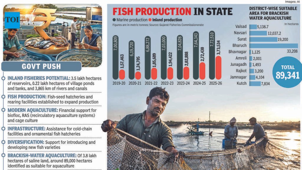 Times Dhandho: Inland fisheries reel in big gains for Gujarat | Ahmedabad News