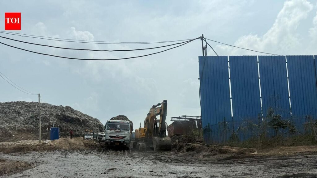 Set deadline for bridging garbage treatment gap in Gurgaon, NGT tells civic body | Gurgaon News