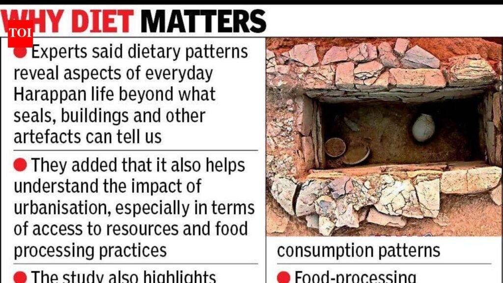 Ahmedabad: Tooth analysis reveals shift in Harappan food practices | Ahmedabad News