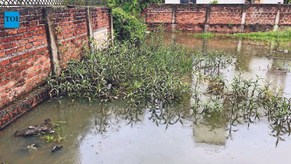 Sewage Overflow Leaves Manish Nagar Residents Fuming | Nagpur News