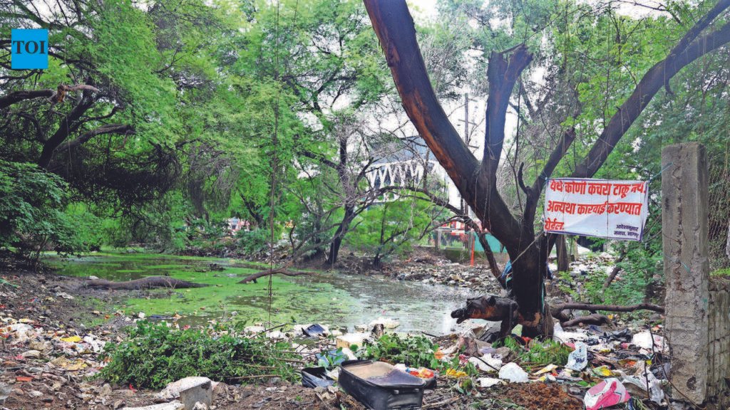Vacant Orange City Street Plot Turns Dumping Spot | Nagpur News