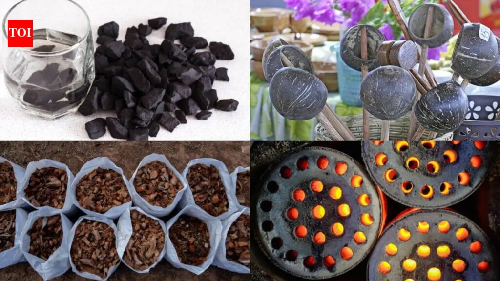 5 practical uses of coconut shell