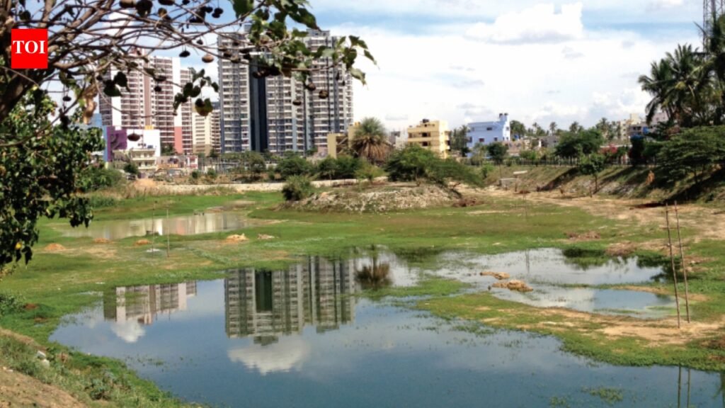 Bengaluru Lakes: Bengaluru’s lakes are getting cleaner, but there is a catch, new study reveals what happens to the sewage after it is diverted | Bengaluru News