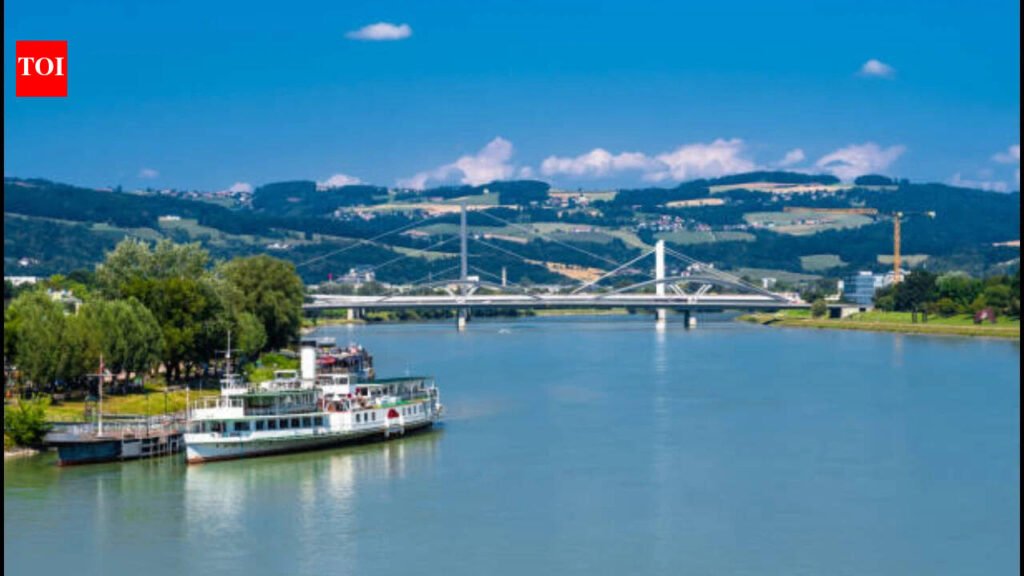 The Danube has fallen so low that a 1,600-year-old Roman bridge is emerging from the river, revealing a piece of history hidden underwater for centuries