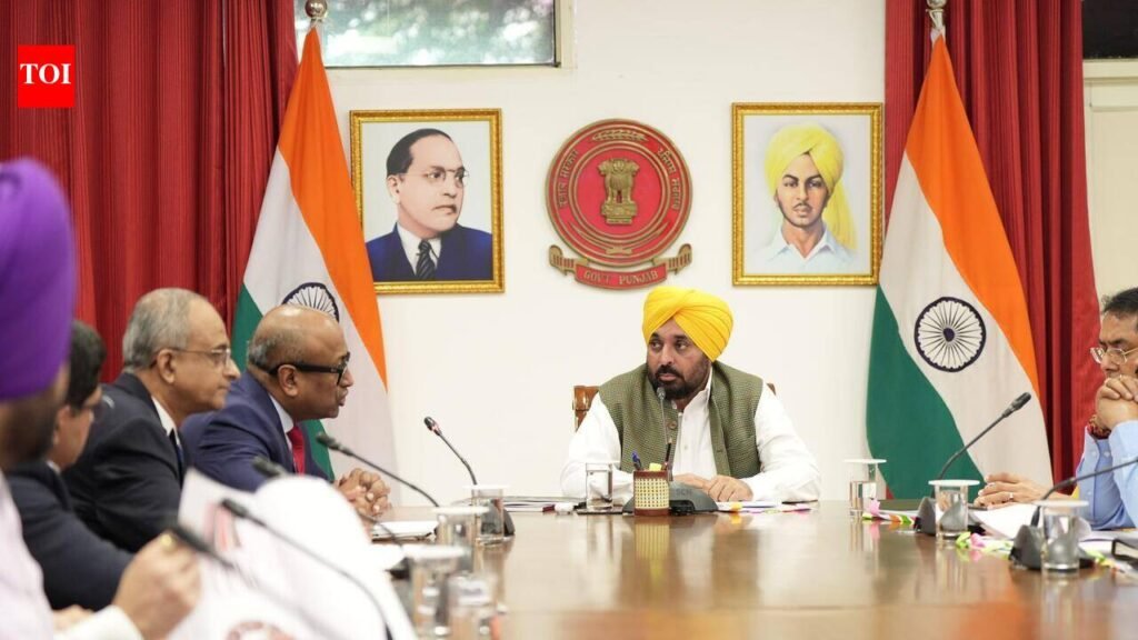 ‘Unbeatable infra’: Mann pitches Mohali as North India’s AI hub | Chandigarh News