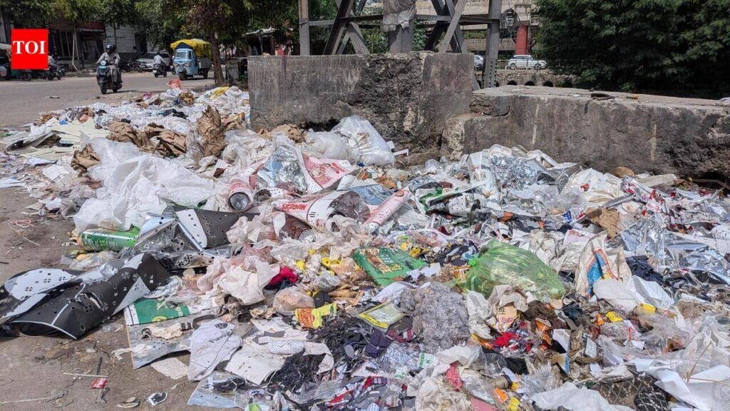 JMC, RIICO blame game leaves Sudarshanpura road buried in garbage | Jaipur News