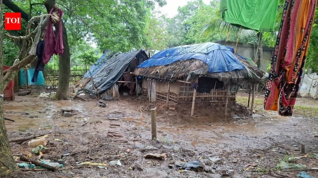 River Baitarani breaches danger mark again after 2 days of rain | Bhubaneswar News