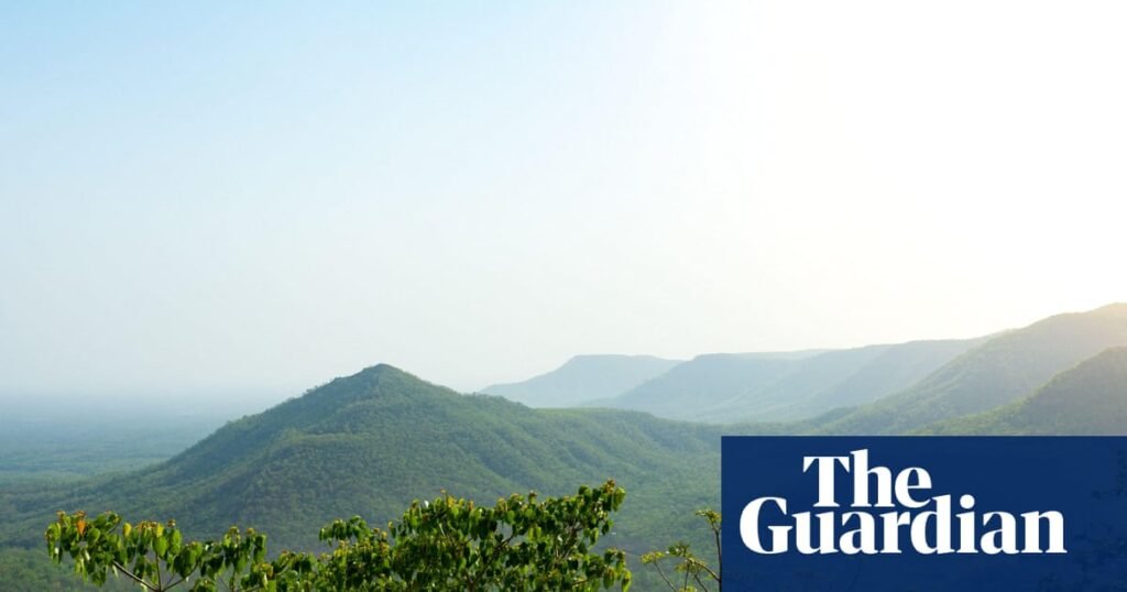 The whitewashing of the Green India Mission forest expansion project | World news