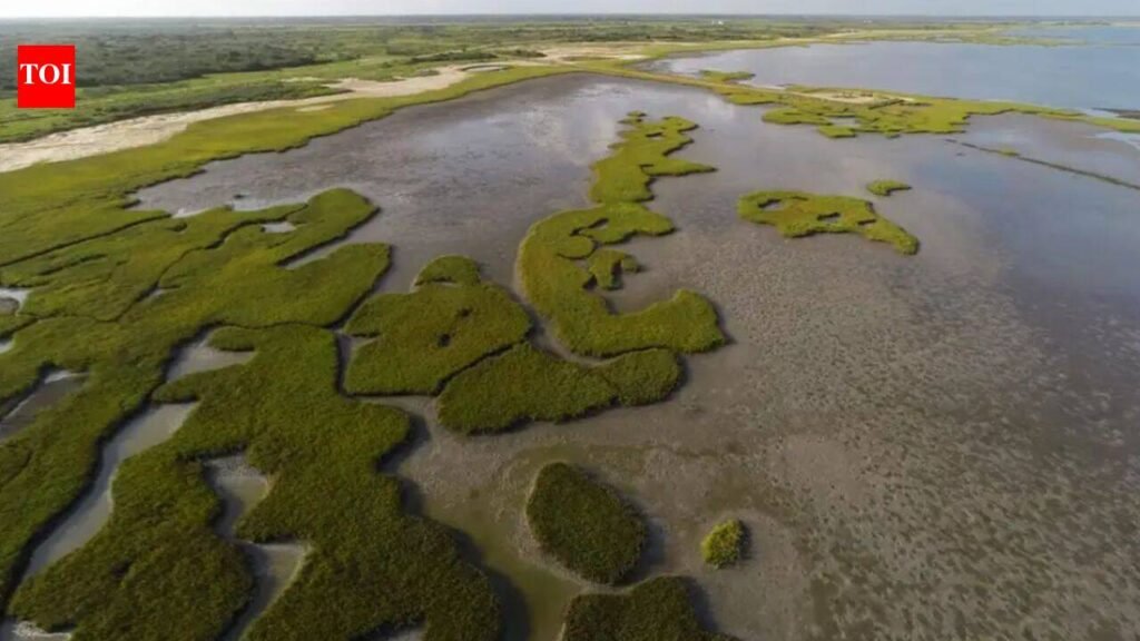 In 2014, a Texas coalition bought a 17,351-acre coastal ranch for $37.7 million, much of it using Deepwater Horizon restoration money; 15,000 acres later became a wildlife area protecting wetlands, prairie and endangered whooping crane habitat