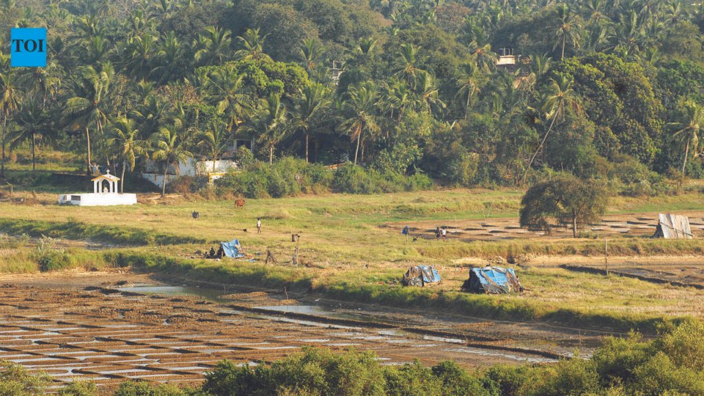Tillari CAD board to decide on land denotification proposals today | Goa News