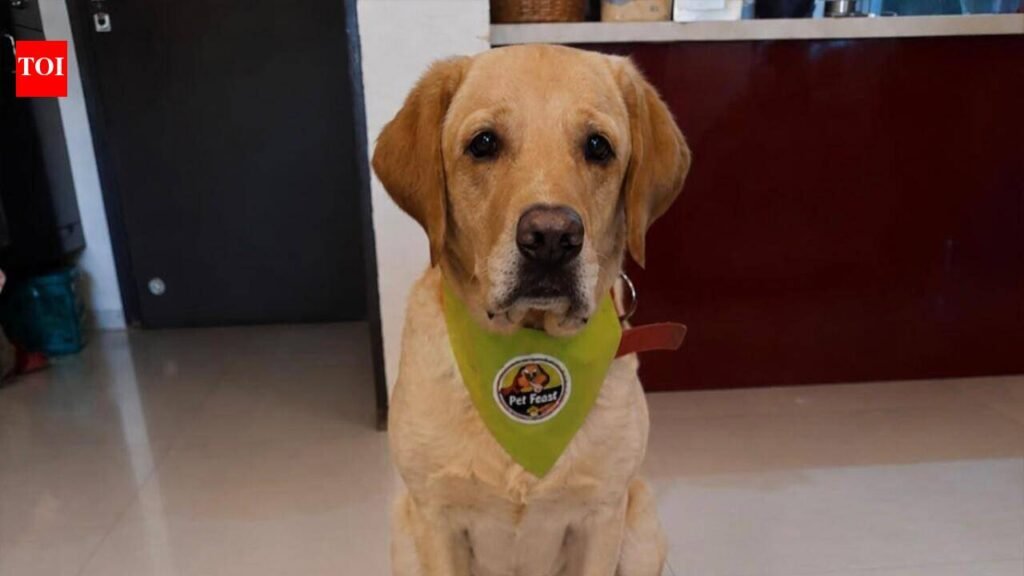 From Sadhya in homes and delivery kitchens to pet-friendly feasts, Pune celebrates Onam | Pune News