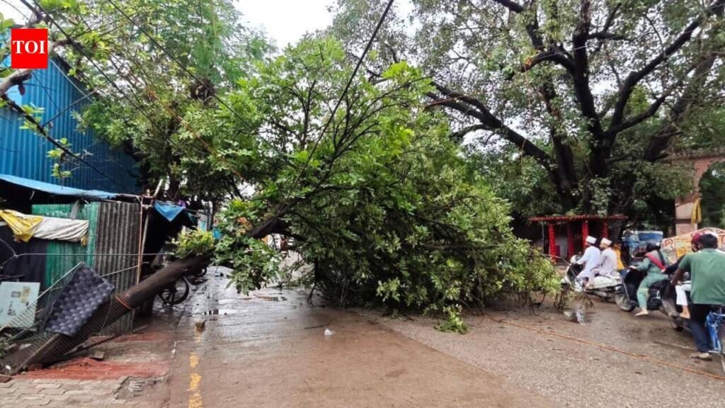 Heavy rain hits life in Kashi; civic teams clear waterlogging, fallen trees | Varanasi News