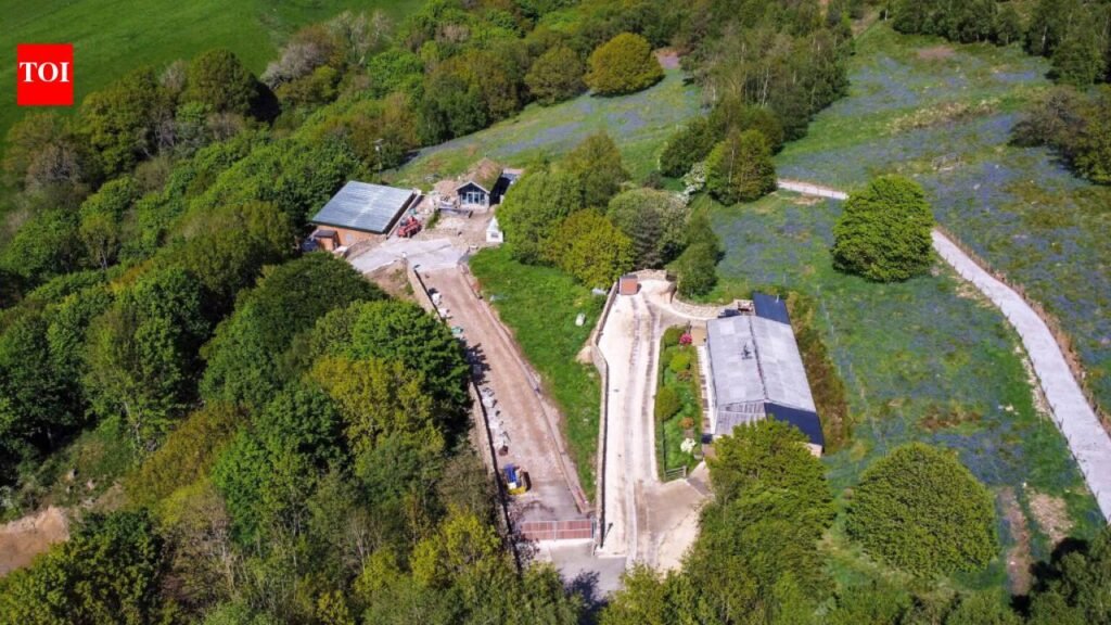 Mystery Turkish firm ordered by council to tear down holiday homes built without planning permission after hundreds of trees cut down in 500-year-old woodland, 100 ordered to replace those lost