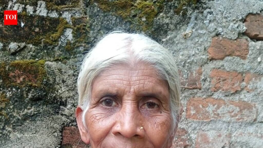 Hit by truck on GT Road, elderly woman dies in Hazaribag | Ranchi News