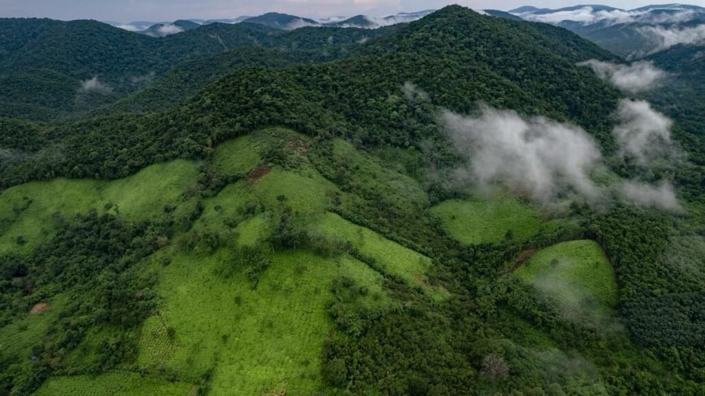 Andhra photographer Rukhiya Mohammed on her award-winning photographs of Eastern Ghats