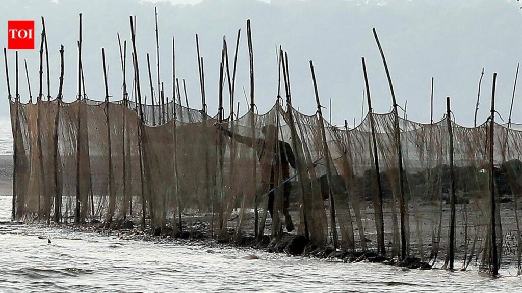Goa revives native fish at its only Ramsar site through ‘fish ranching’ | Goa News