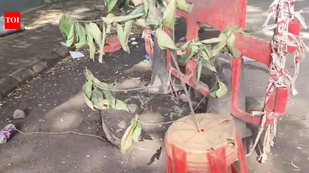 Two die inside underground BSNL chamber in Nigdi near Pune, where three suffocated to death last year | Pune News