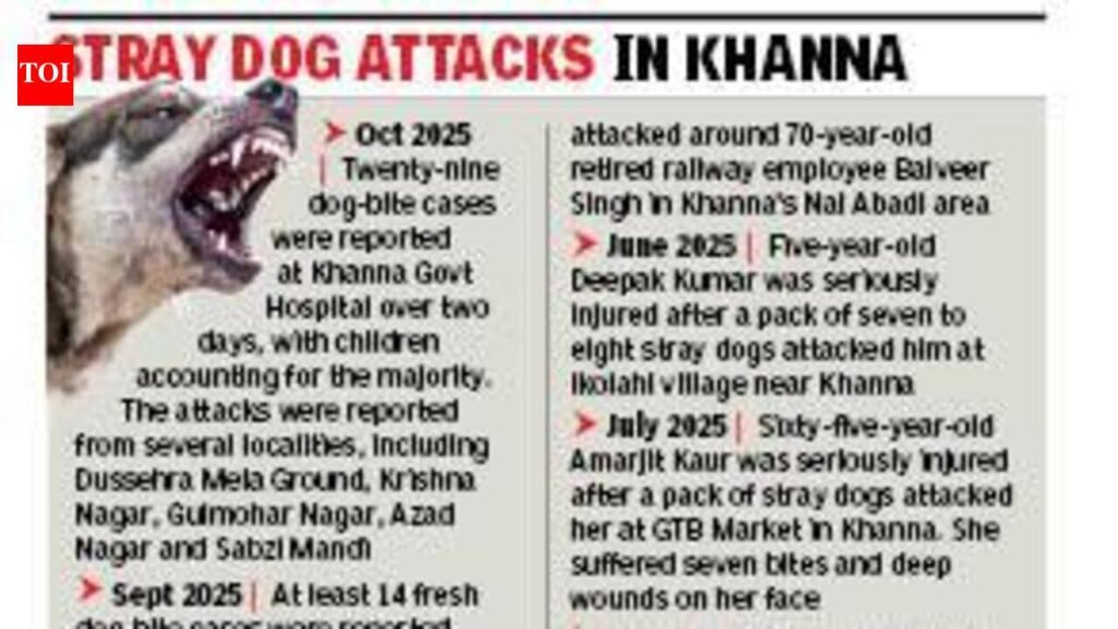 Baby seriously injured after stray dog mauls head & neck | Ludhiana News