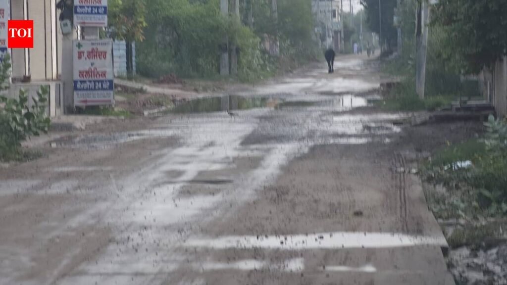 Decide on Mansa road quality plaint in 2 weeks: HC to vigilance | Chandigarh News