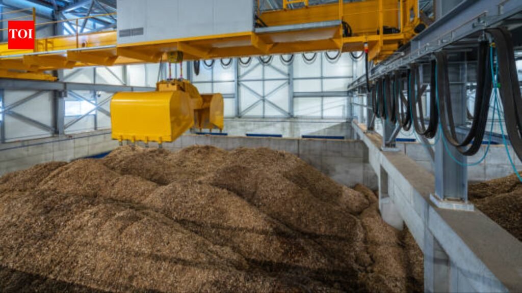 Scientists are turning discarded wood into foam to replace plastic in packaging and construction industries; it can decompose in soil within months