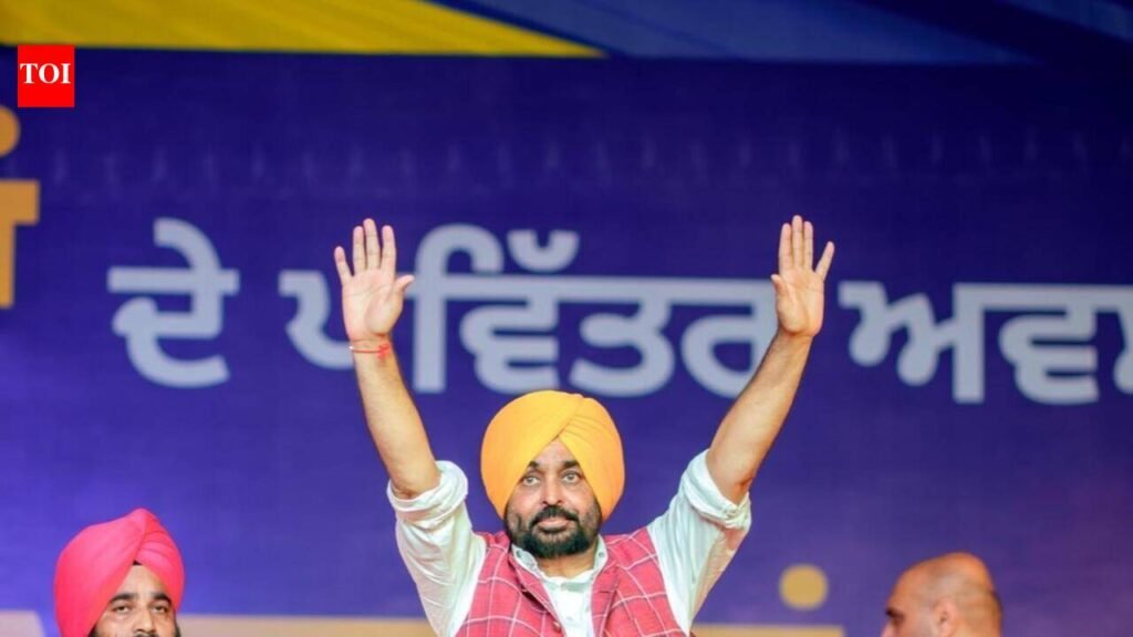 BJP can never win Punjab, says Mann; targets SAD, Congress | Chandigarh News