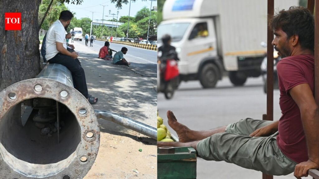 Seat happens! They rest where they find it | Delhi News