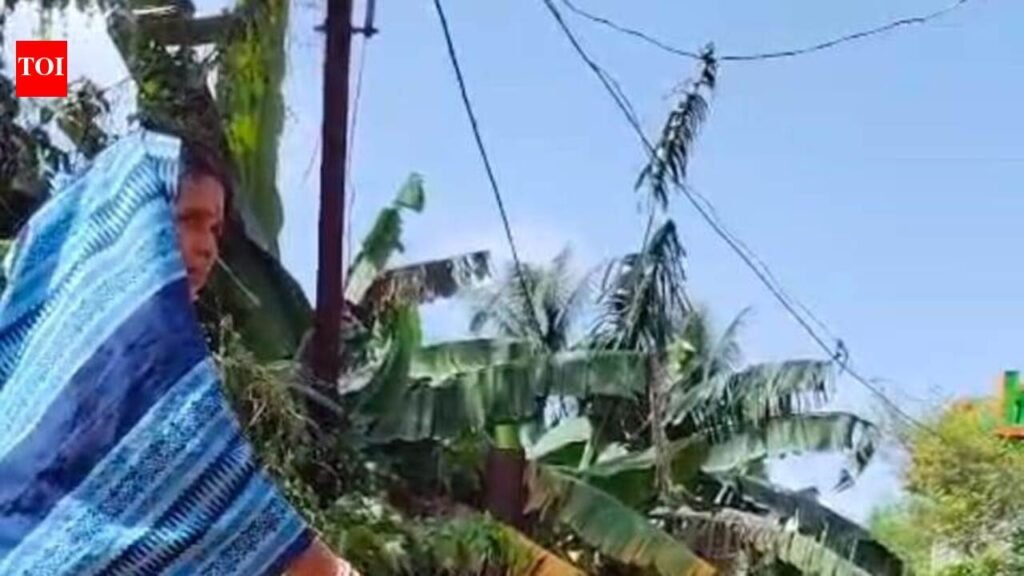 ASHA worker rescues flood affected | Bhubaneswar News