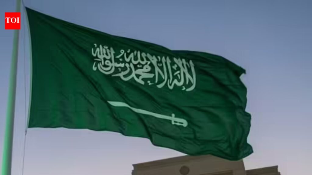 Saudi Arabia warns expats of SR50,000 fine, jail and deportation for overstaying entry visas | World News