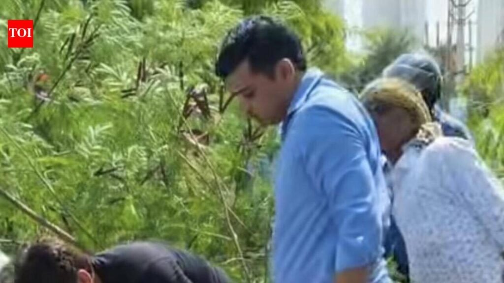 Man dies after tree falls on his bike in Sector 102 | Gurgaon News