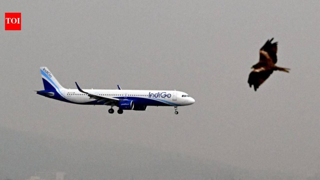 High airfares put brakes on Diwali flight bookings from Pune | Pune News
